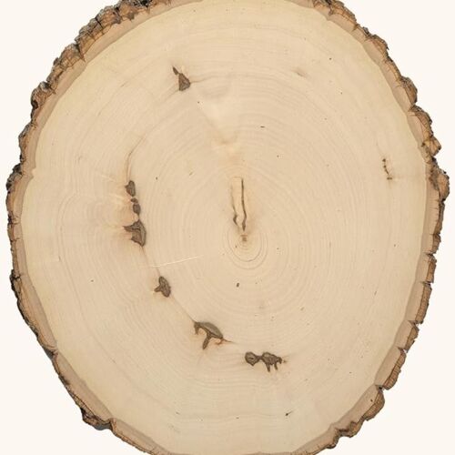 9-12" Rustic Basswood Plank Thumbnail